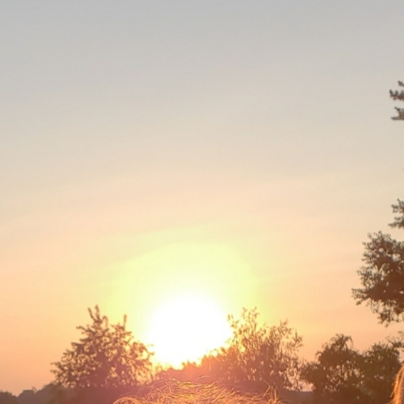 New Or Used - Picture 1 of 1